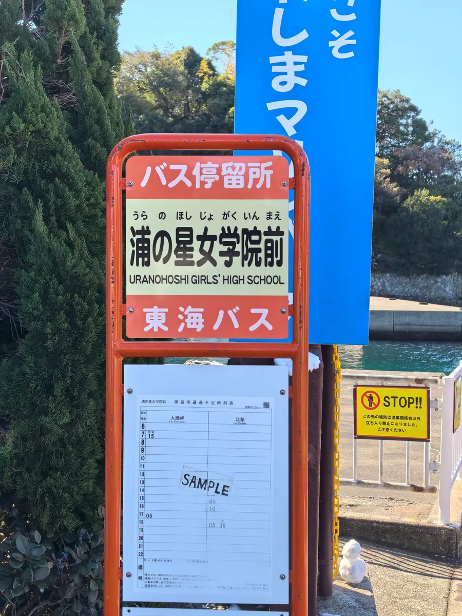 沼津总览照片 104