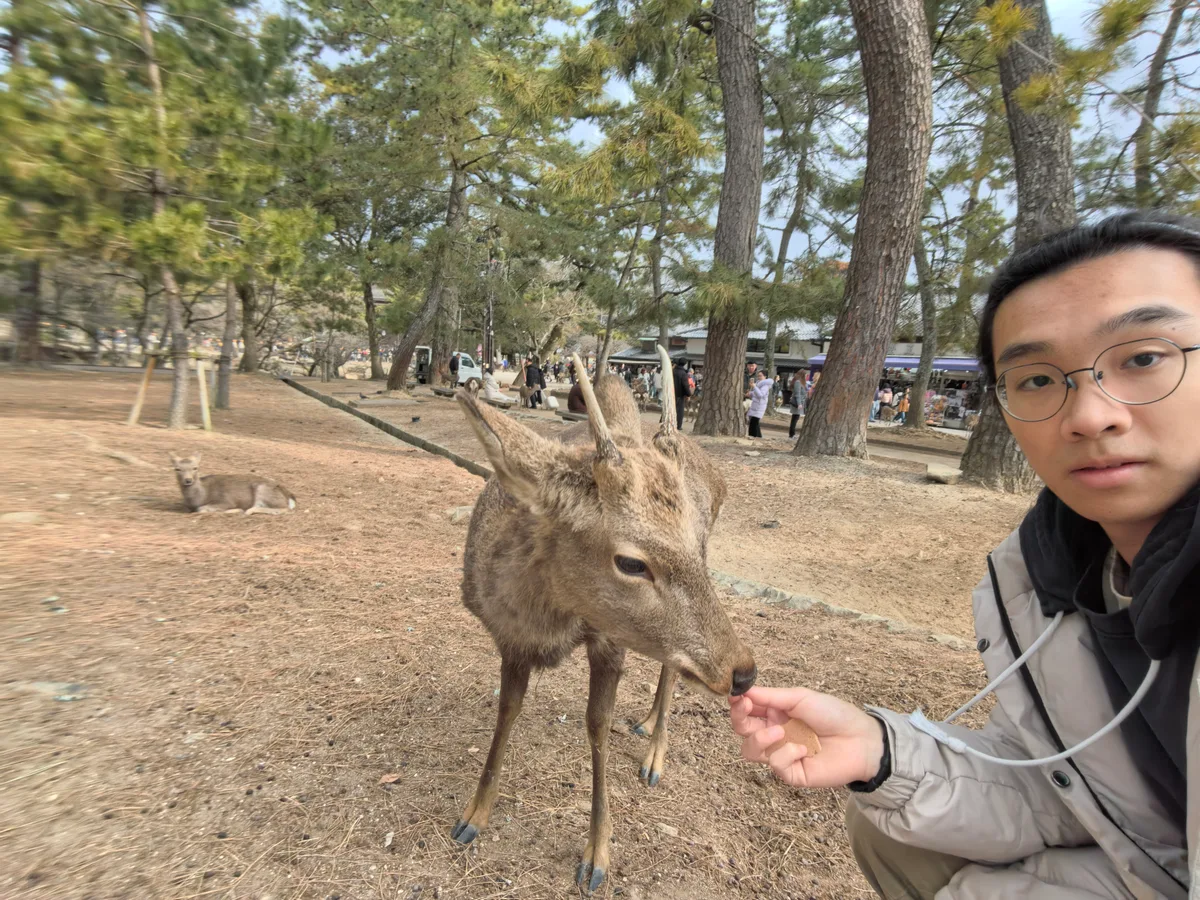 大阪到东京旅行照片 061