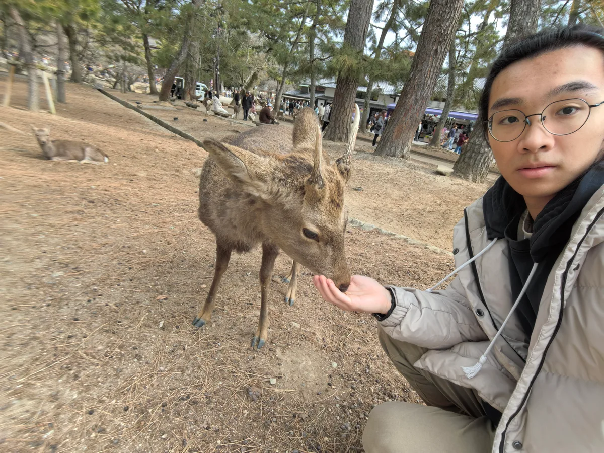 大阪到东京旅行照片 062