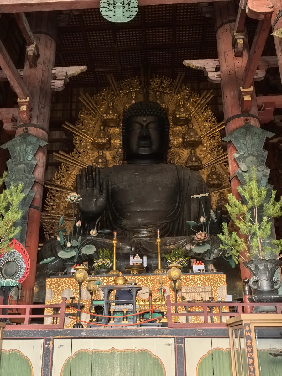 大阪到东京旅行照片 070