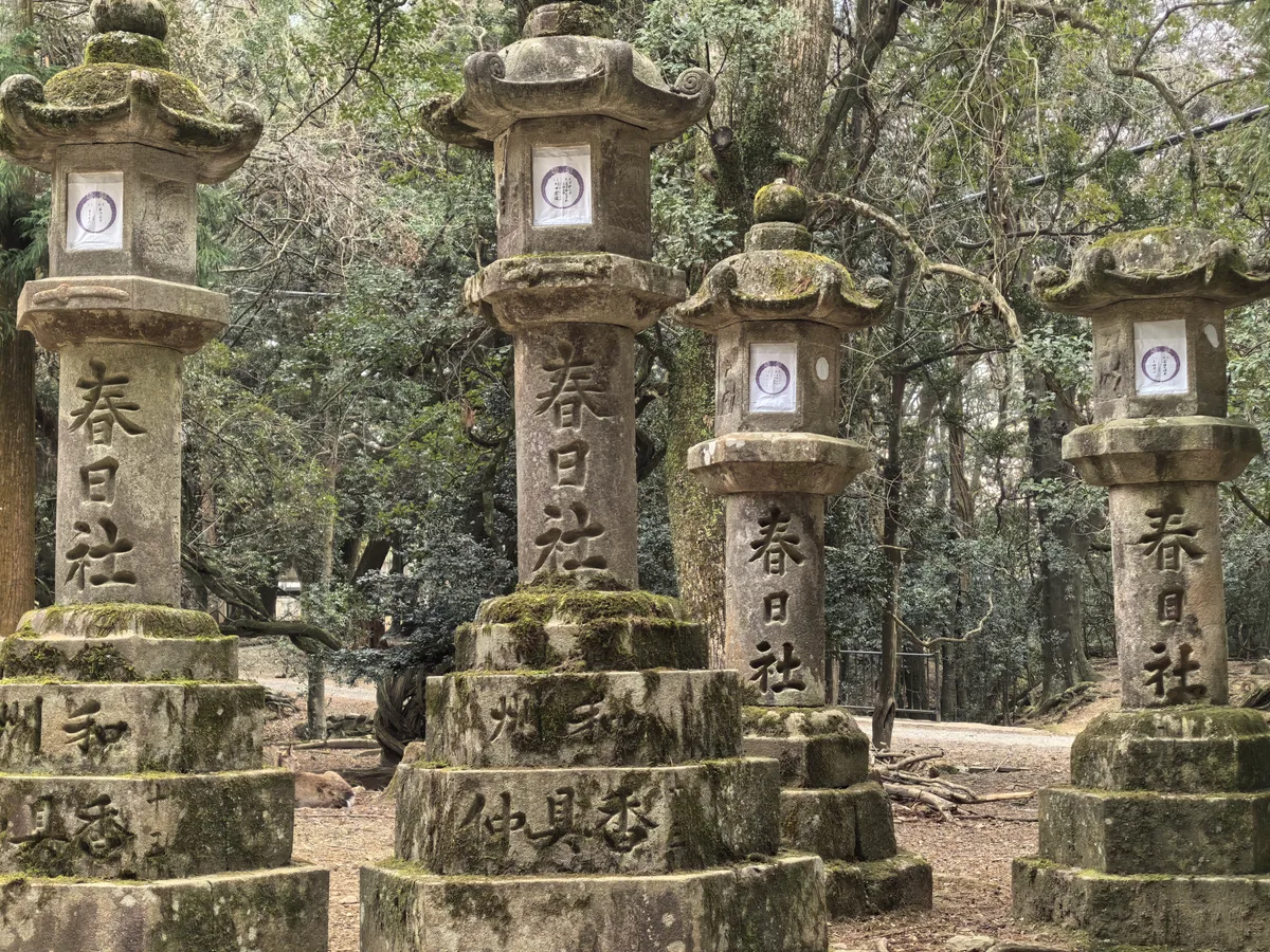 大阪到东京旅行照片 080