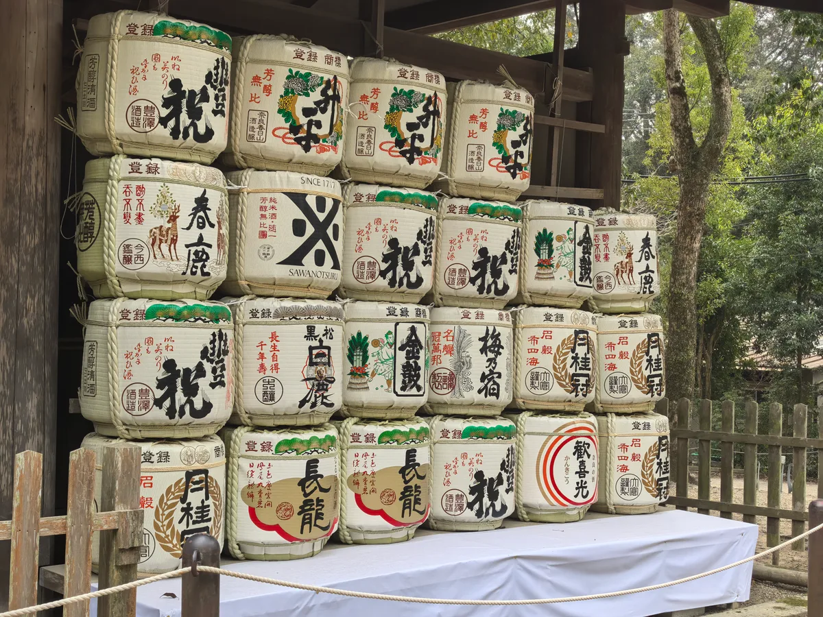 大阪到东京旅行照片 084