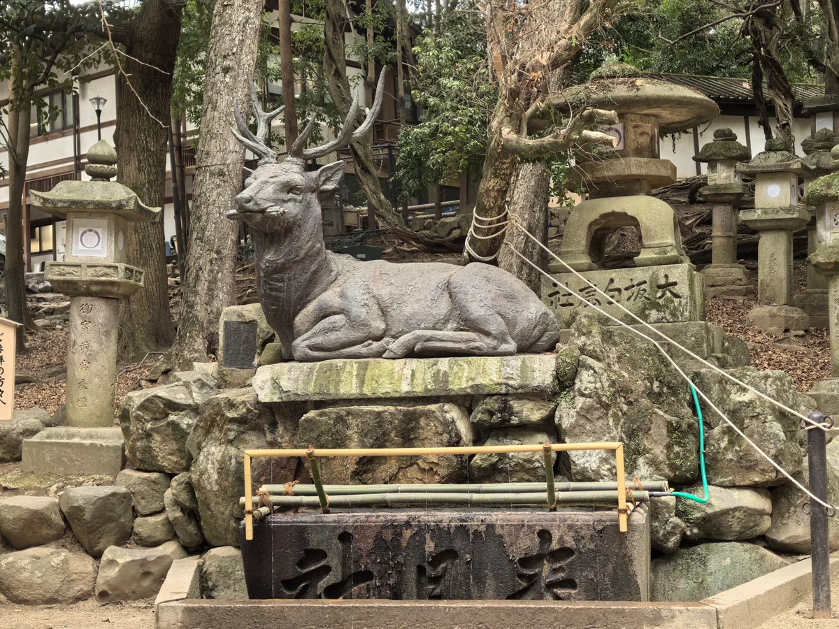 大阪到东京旅行照片 085