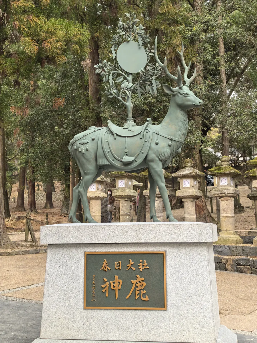 大阪到东京旅行照片 087