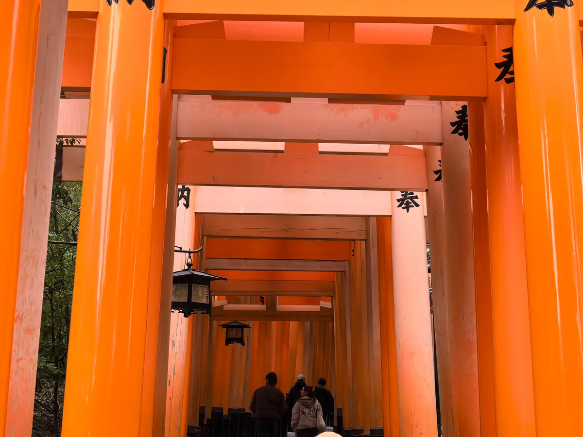 大阪到东京旅行照片 107