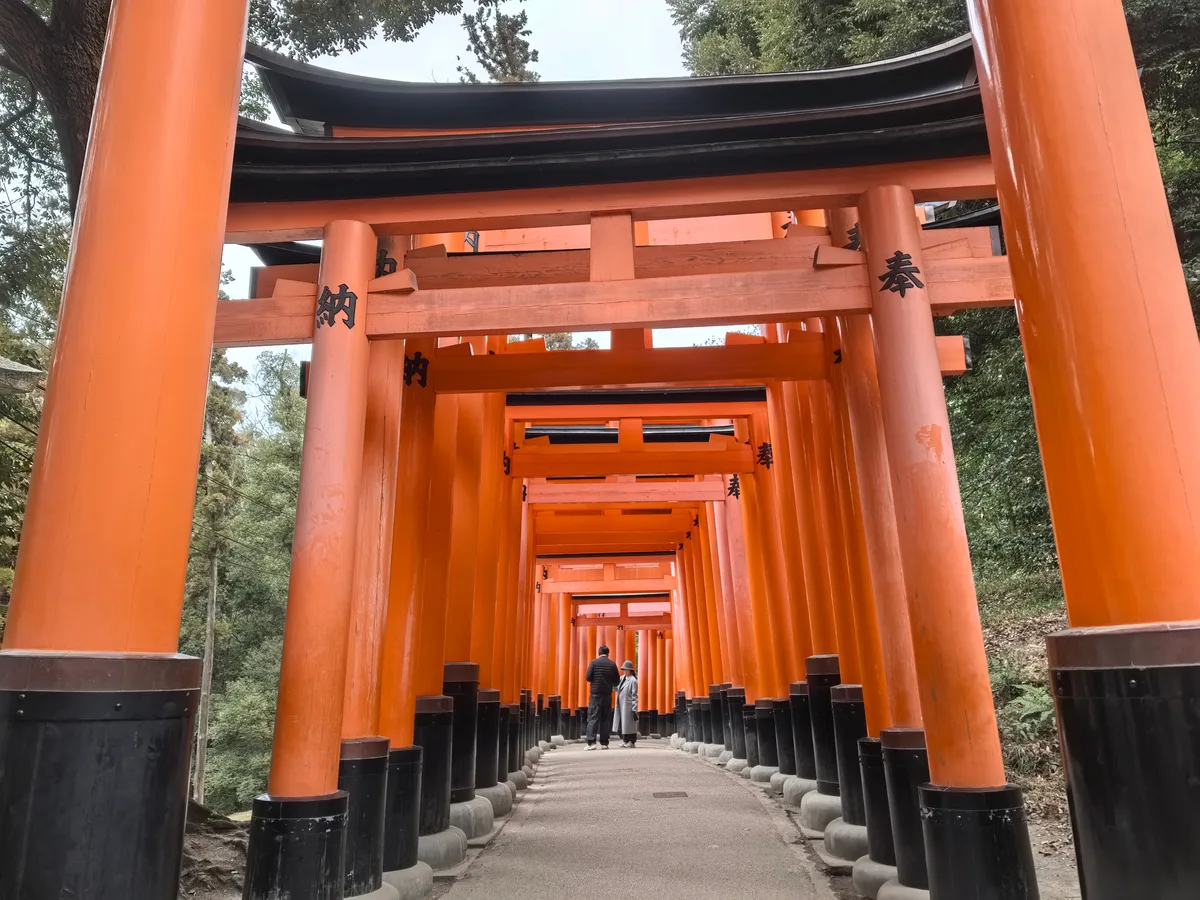 大阪到东京旅行照片 117