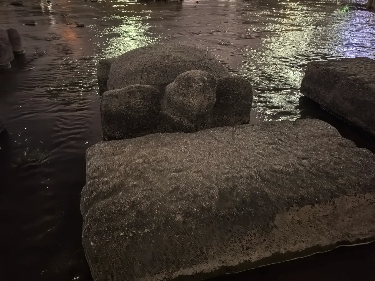 大阪到东京旅行照片 225