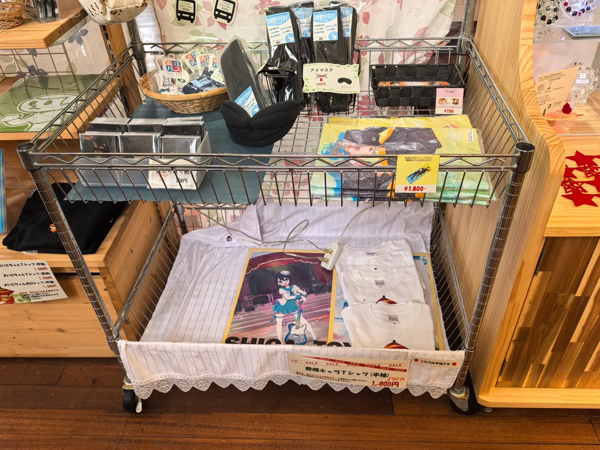 大阪到东京旅行照片 294