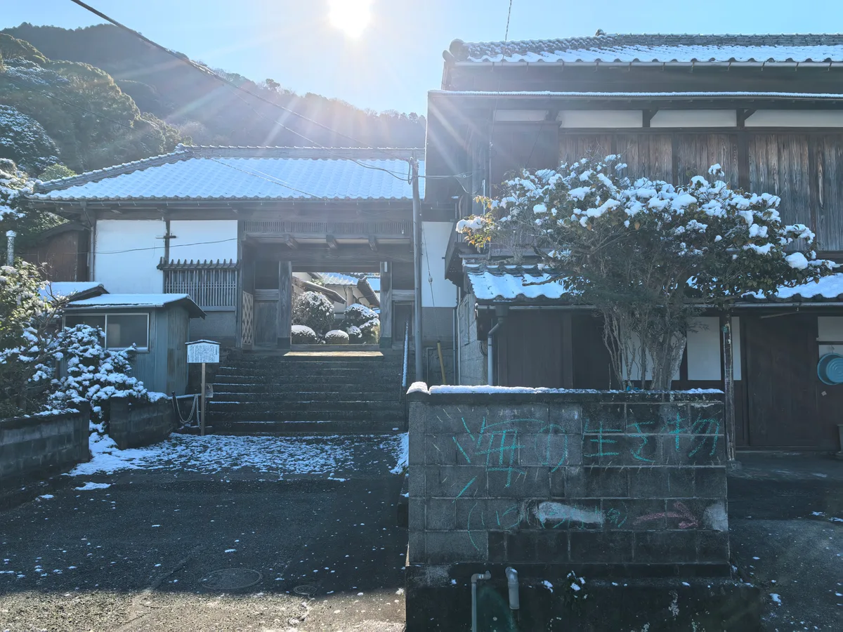 大阪到东京旅行照片 379