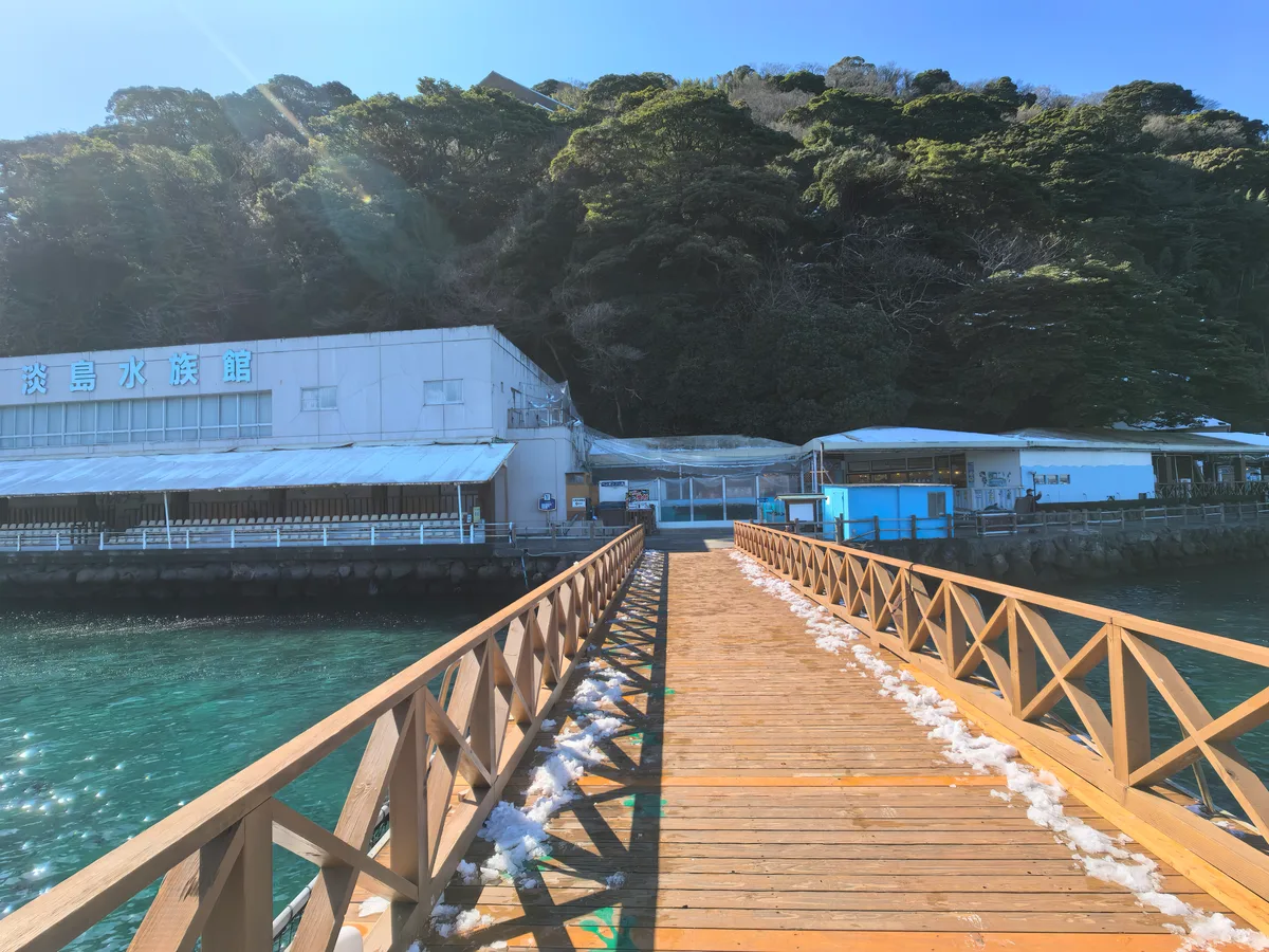 大阪到东京旅行照片 437
