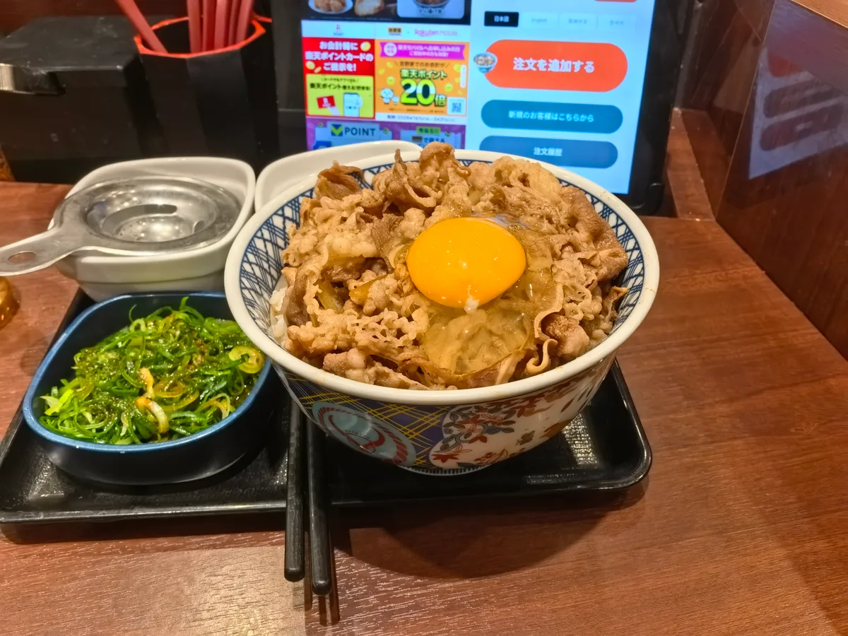 大阪到东京旅行照片 496