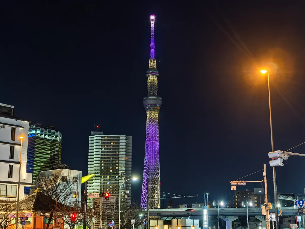 大阪到东京旅行照片 499