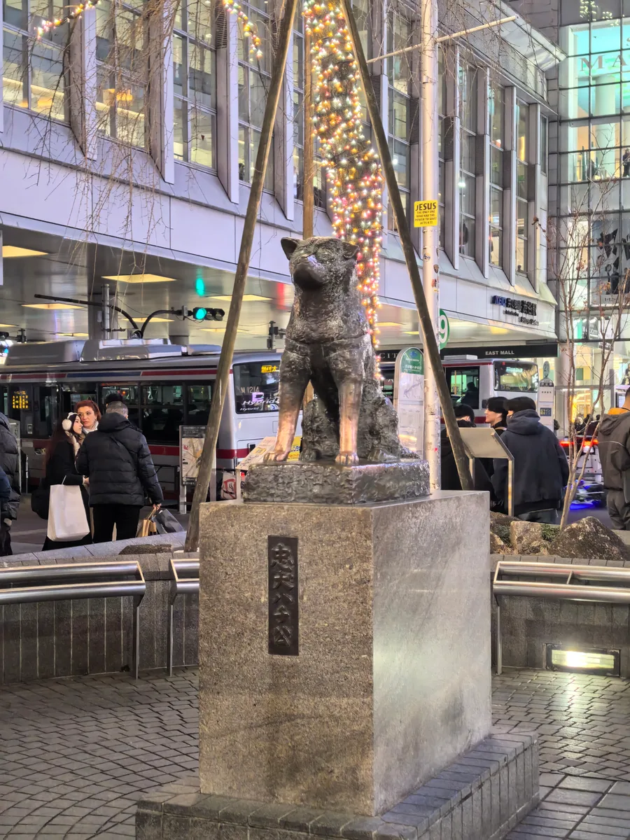 大阪到东京旅行照片 664