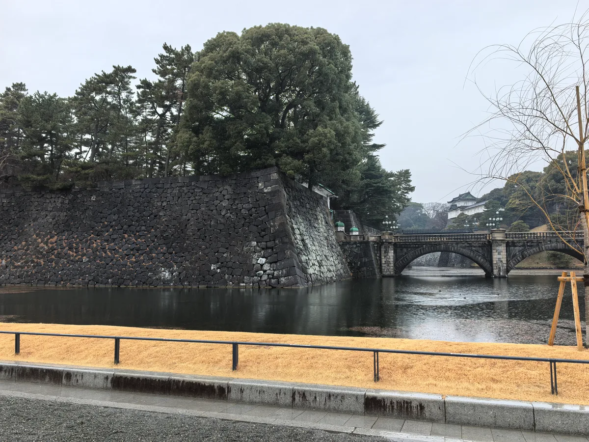 大阪到东京旅行照片 698